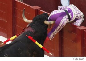 Просто неудачный день