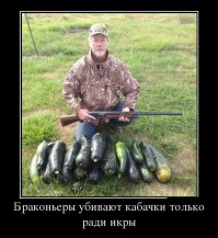 Подборка демотиваторов