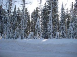 я по работе хожу в "походы" сыт ими дальше некуда.
