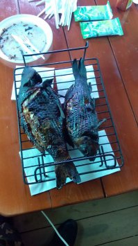 Сумасшедшие хобби мужчин, которые так мешают жизни их женщин 