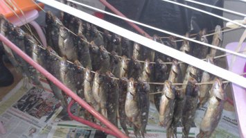 Сумасшедшие хобби мужчин, которые так мешают жизни их женщин 