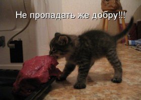 Нездоровый максимализм, которого так много в нашей жизни 