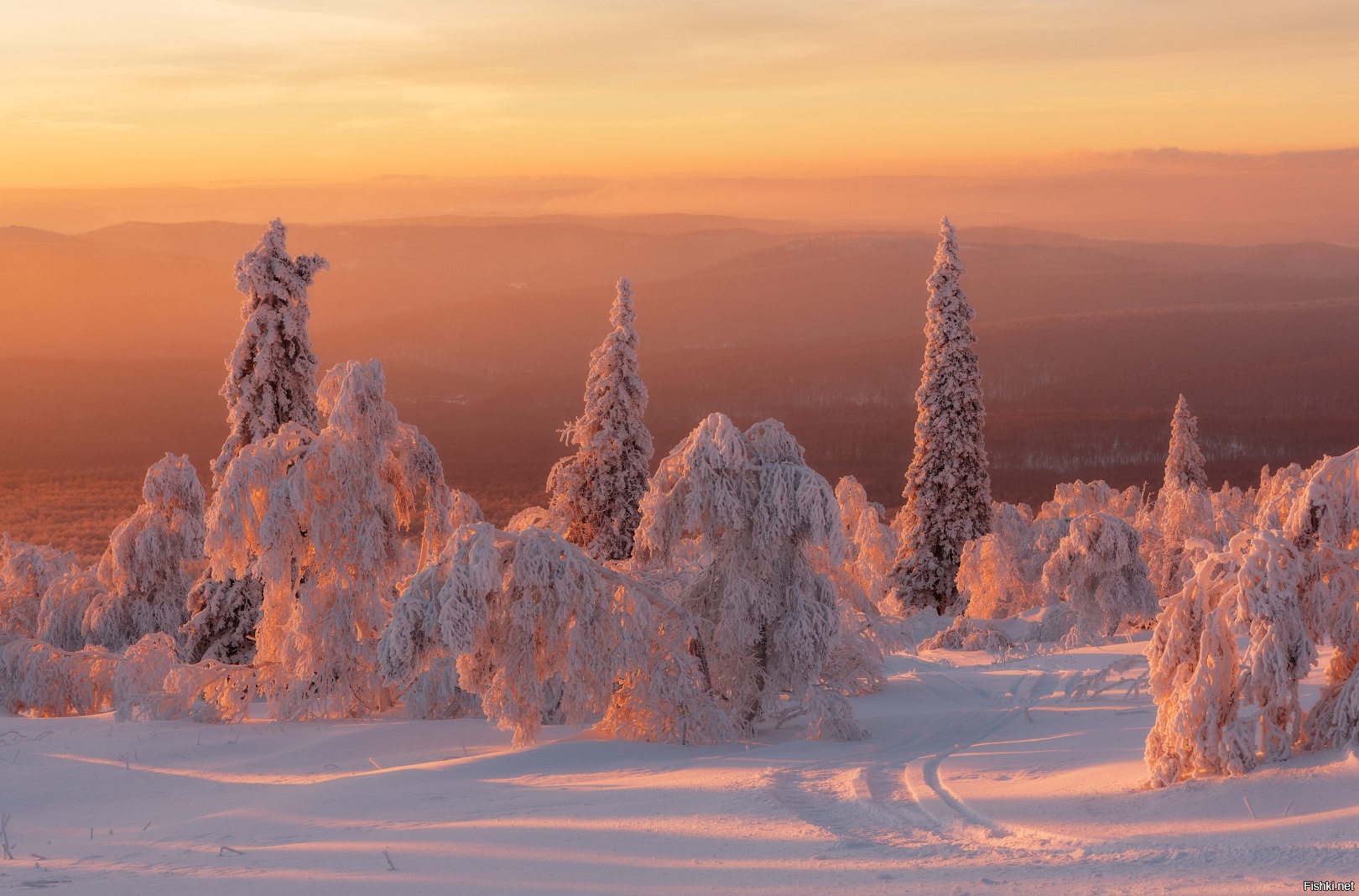 Природа зима красота. Хребет Уреньга. Зимний пейзаж. Красота зимы. Зимняя природа.