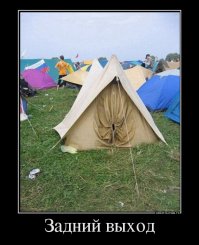 Напомнило: жук-мозг из фильма "Звездный десант"