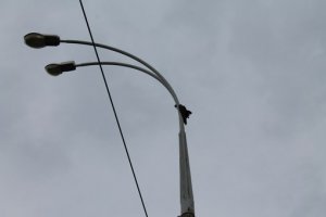 не повезло.