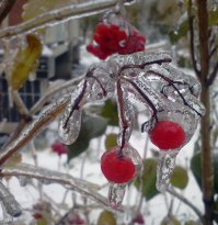 у нас очень красиво! приезжайте в гости!