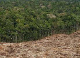 Люди уже сумели изгадить и это чудо природы.