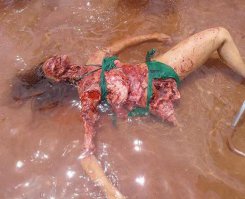 Во так что ли...