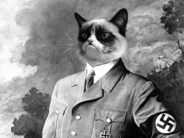 Найдена причина рождения похожих на Гитлера котов