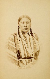 Вот еще чистокровные Шайенны.
--------