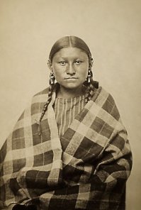 Вот еще чистокровные Шайенны.
--------