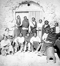 Вот еще чистокровные Шайенны.
--------