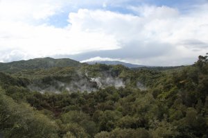 А вот мои. 2010-й. Северный остров. Роторуа.

Waimangu Volcanic valley.
Hell's Gate.