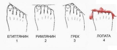 Что расскажет о вас форма кисти рук