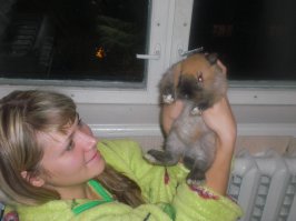 тоже нам продали как декоративного ! а вымахал на 4 кг !