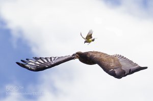 "Остановись мгновенье - ты прекрасно". Но не всегда
