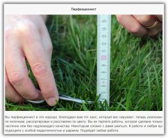 В принципе согласен :)