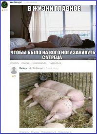 Смешные комменты из соцсетей