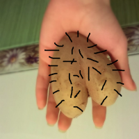 А так, яйцы :)