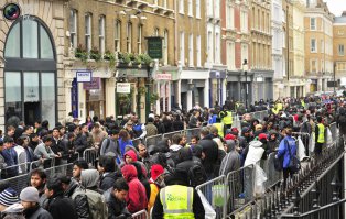 Мосаквариум –творится ужас