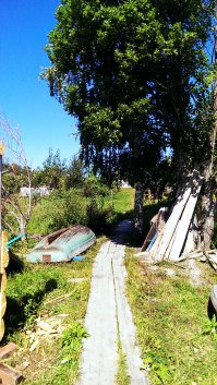 Я там не живу. Приезжаю в отпуск. Я еще не пенсионер. Осталось чуть-чуть. Это выход на озеро (мостик)