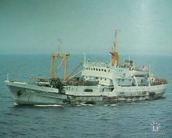 Как "черпают" рыбу на Аляске