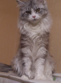 Исправляюсь. :) Но она не обижается. :)