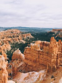 Живописные фотографии дикой природы