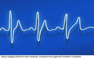 Дабстеп в кардиологии - массовое убийство, а фанаты джаза страдают от аритмии?