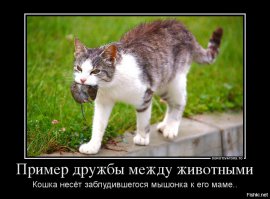 Спешите делать добро! 