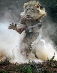 Мир вокруг нас полон неожиданностей