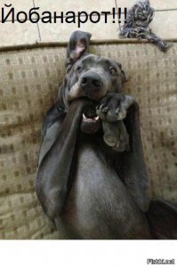 Детский утренник 