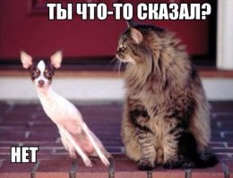 15 фотографий животных, которые любят вдыхать аромат цветов