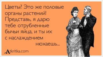 15 фотографий животных, которые любят вдыхать аромат цветов