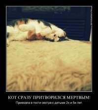 А бояться не надо, надо делать так: