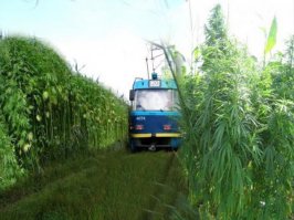 город Герой Одесса