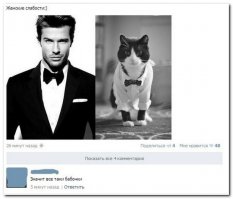 Смешные комментарии и высказывания из социальных сетей