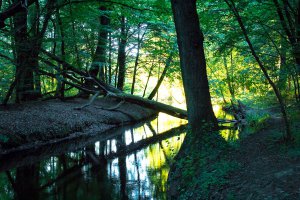 Питьевой канал  под Калининградом.