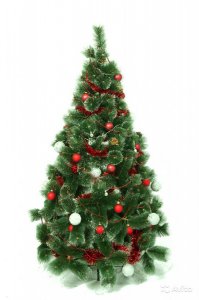 И сколько сгубили елок в новый год,неужели трудно (или жалко) купить искусственную? Ведь свою природу губим!!!