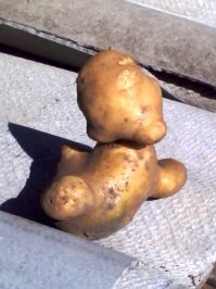 наш урожай 2014