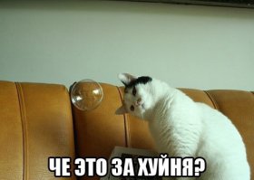 Коротко о прошедших новогодних каникулах 