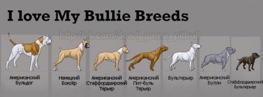 Это только у вас Стафф или Пит. А в реале их гораздо больше.