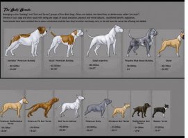 Это только у вас Стафф или Пит. А в реале их гораздо больше.