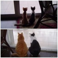 До и после новогодних праздников