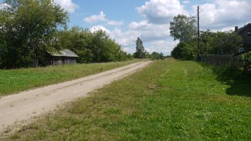 они там не растут, например в Белоруссии вся трава как для гольфа, ровная и классная, и сорняки там не растут.
Сам видел.