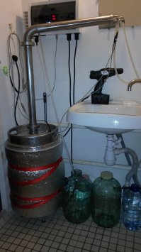 моя прелесть!