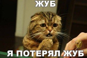 Тофьно!
