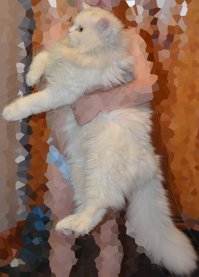 Он ВЕСЬ такой мохнатый.  

На фото мой младший (4 года) в обнимку с котом
