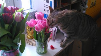 15 фотографий животных, которые любят вдыхать аромат цветов