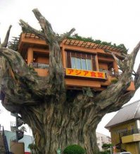 А мне бы хотя бы такой. Где-нибудь на Таити...